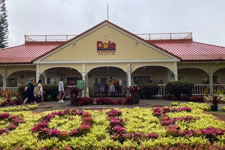 "The Dole Plantation" & "North Shore" Private Limousine VIP Tour! - Photo 1 of 15